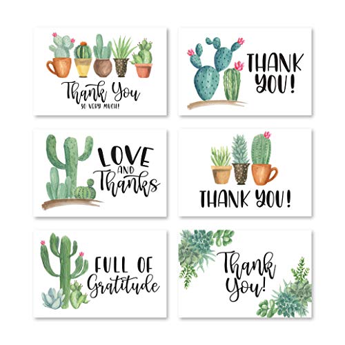 24 Bulk Thank You Cards with Envelopes Blank Cute Thank You Notes - color: Succulent