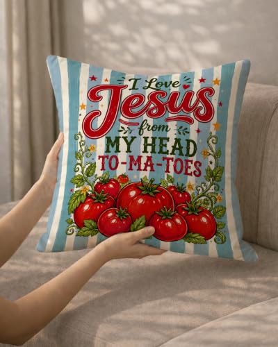 Preppy Blue Striped Christmas Tomato Pillow Cover 18x18 - color: Blue Striped
