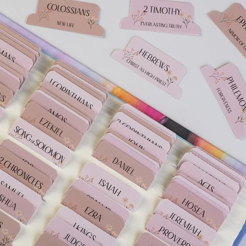 DiverseBee Laminated Bible Tabs with Book Summaries (Canon Theme) - color: Canon