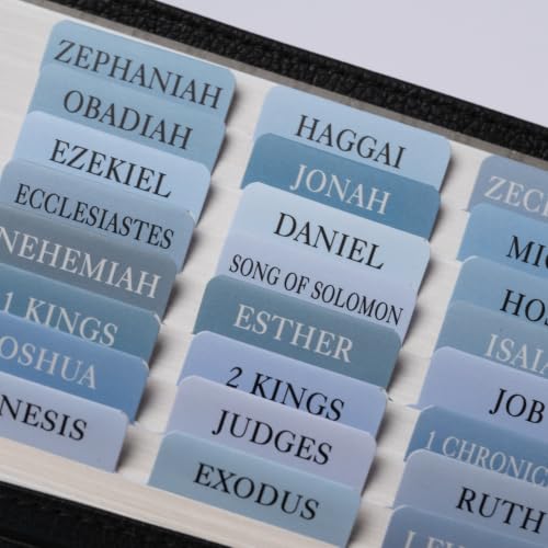 UPAFEXXI-Laminated Bible Tabs with Book Summaries, Bible Study Supplies - color: Summaries Blue2