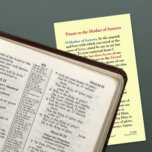 Needzo Holy Prayer Card, Our Lady of Sorrows Laminated Devotional Handout or Catholic Favor, 2.625 x 4.375 Inches (Pack of 5)