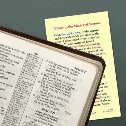 Needzo Holy Prayer Card, Our Lady of Sorrows Laminated Devotional Handout or Catholic Favor, 2.625 x 4.375 Inches (Pack of 5)