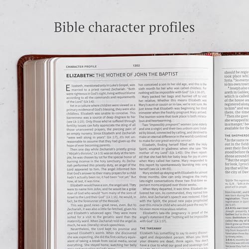 CSB Everyday Study Bible, British Tan LeatherTouch, Black Letter, Study Notes, Illustrations, Aricles, Easy-to-Carry, Easy-to-Read Bible Serif Type