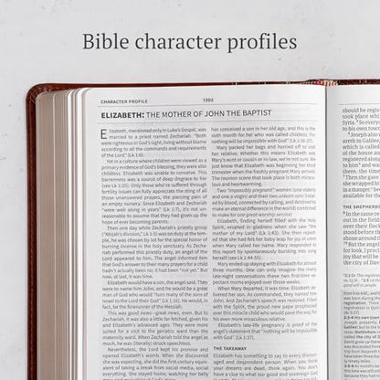 CSB Everyday Study Bible, British Tan LeatherTouch, Black Letter, Study Notes, Illustrations, Aricles, Easy-to-Carry, Easy-to-Read Bible Serif Type