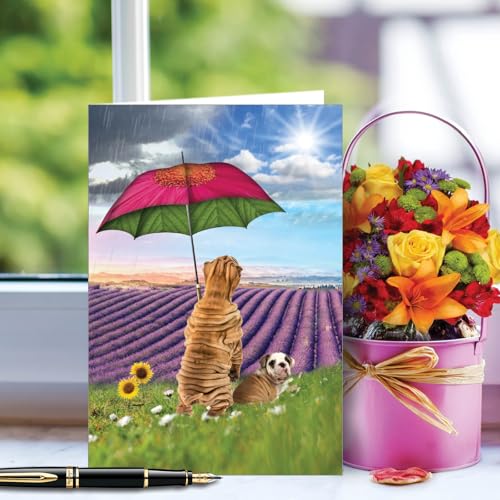 NobleWorks - 1 Funny Get Well Greeting Card - Hilarious Feel Better Notecard with Envelope - Raining Dogs C6823FGWG - style: Raining Dogs