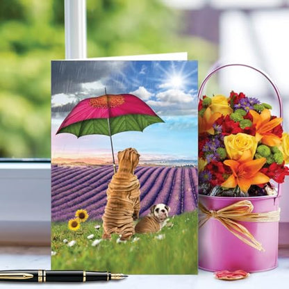 NobleWorks - 1 Funny Get Well Greeting Card - Hilarious Feel Better Notecard with Envelope - Raining Dogs C6823FGWG - style: Raining Dogs