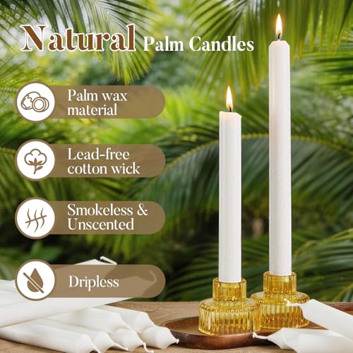 Ashlux Palm Taper Candles 12Pack, 10 Inch Unscented Dripelss Candlesticks - color: White