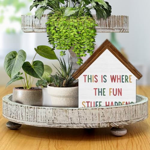 Playroom Decor, This Is Where All the Fun Stuff Happens House Shaped - color: fun
