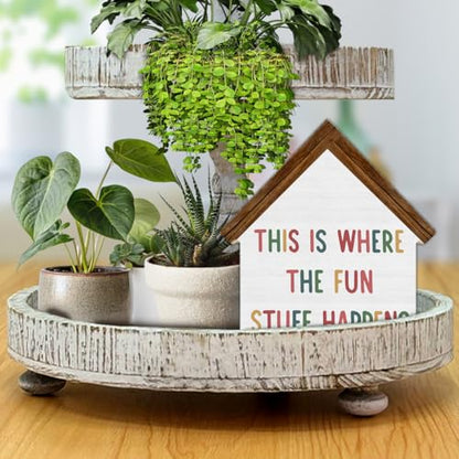 Playroom Decor, This Is Where All the Fun Stuff Happens House Shaped - color: fun
