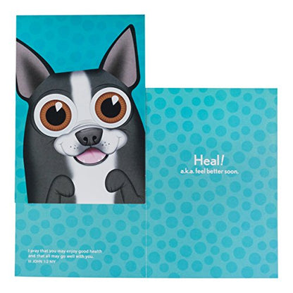 DaySpring Get Well Boxed Greeting Cards w Embossed Envelopes - U-NEEKS, 12 Count