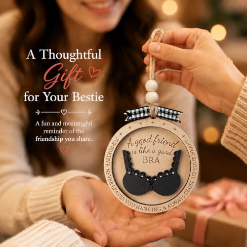 Funny Best Friend Christmas Ornament with Bra & Underwear Pun Design - color: Multi Color