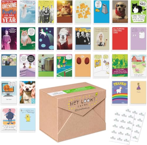 Recycled Paper Greetings 30-Count Funny All Occasion Card Assortment with Envelopes, Seals, and Storage Box by Hey Look! 4.625 inches x 6.75 inches (Pack of 6) - color: Funny All Occasion Card Assortment, size: 4.625 inches x 6.75 inches (Pack of 6)