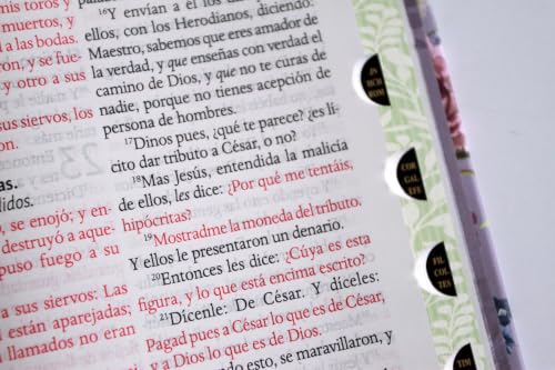 Biblia Reina Valera letra gigante, tapa dura, flores moradas, con cantos pintados e índice / Spanish Bible Reina Valera Giant Print, Hardcover Purple Flowers (Spanish Edition)