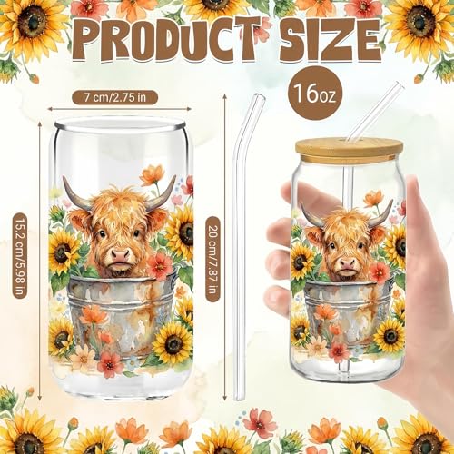 Glass Cups with Lids and Straws, 6Pack, 16oz, Sunflower Farmhouse - style: Highland Cow