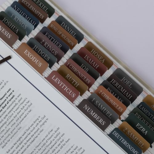 UPAFEXXI-Laminated Bible Tabs with Book Summaries, Bible Study Supplies - color: Summaries Boho3