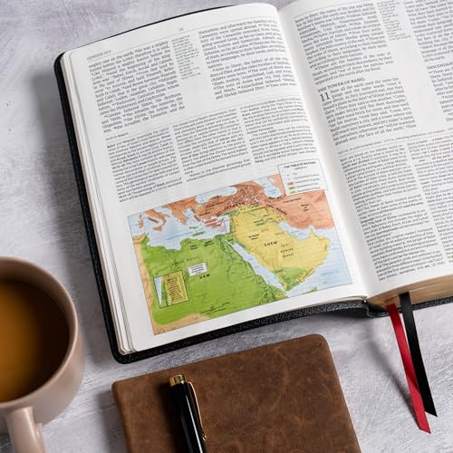 NASB Study Bible, Black Genuine Leather, Full-Color, Red Letter, Study Notes and Commentary, Illustrations, Book Introductions, Articles, Word Studies, Outlines, Timelines, Maps