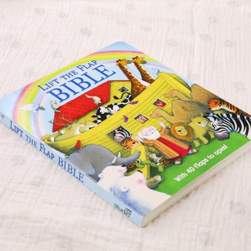 Lift the Flap Bible