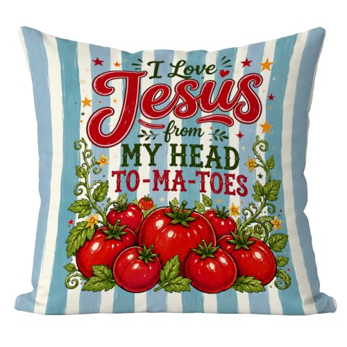 Preppy Blue Striped Christmas Tomato Pillow Cover 18x18 - color: Blue Striped