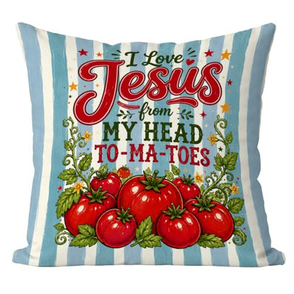 Preppy Blue Striped Christmas Tomato Pillow Cover 18x18 - color: Blue Striped