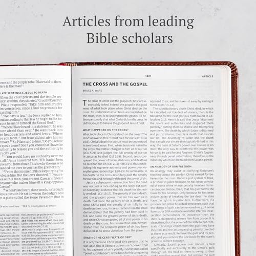 CSB Everyday Study Bible, British Tan LeatherTouch, Black Letter, Study Notes, Illustrations, Aricles, Easy-to-Carry, Easy-to-Read Bible Serif Type