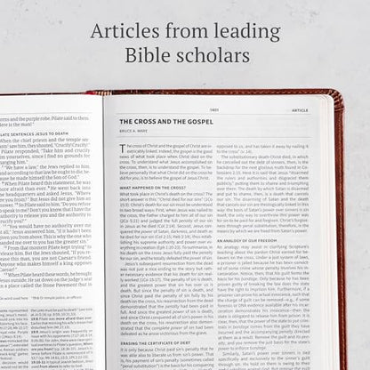 CSB Everyday Study Bible, British Tan LeatherTouch, Black Letter, Study Notes, Illustrations, Aricles, Easy-to-Carry, Easy-to-Read Bible Serif Type