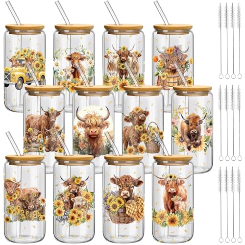 Teenyyou 12 Set of Highland Cow Glasses with Bamboo Lid and Glass Straw 16 oz Summer Drinking Cup Beer Iced Coffee Cup Tumbler Mugs for Teacher's Day Gift Holiday Party Office - style: Highland Cow