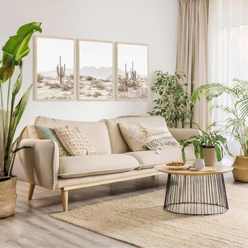 YUFEIART 3 Piece Sonoran Desert Cactus Framed Wall Art Set of 3 16x20 - color: Desert Cactus, size: 16x20 Framed