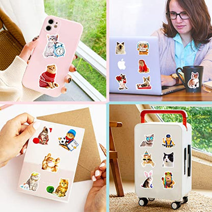 Cat Stickers for Kids Teens Girls Adults, 100 Pcs Cute Cat Stickers, Vinyl Waterproof Animal Sticker for Water Bottle, Laptop, Luggage, Phone, Skateboard - color: Cat