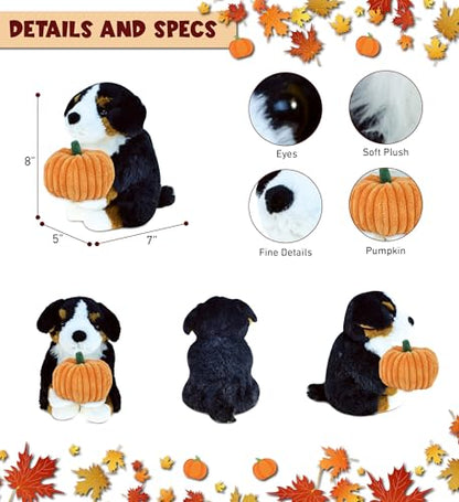 DolliBu Super Soft Bernese Mountain Dog Stuffed Animal with Pumpkin Decor - Pumpkin Plush Animal for Fall, Halloween and Thanksgiving, Pumpkin Toy for Baby, Kids, Adults - 8 Inches