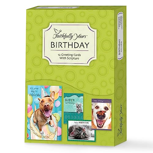 Faithfully Yours Designer Greetings Cute Birthday Boxed Card 12 Pack