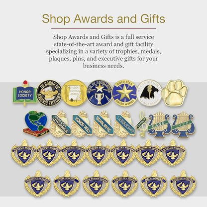 SHOP AWARDS AND GIFTS Star Performer Lapel Pins for Students, Appreciation, Reward, School, Employee Recognition, Bulk Pack of 12, Poly Bagged, 3/4 Inch