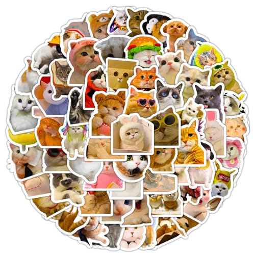 DothRayan Cat Stickers, 100 Pcs Fun Cat Waterproof Stickers, Vinyl Stickers for Water Bottle, Laptop, Phone Stickers for Kids Teens Girls Adults - color: Cat B
