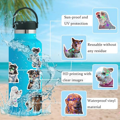 200 PCS Holographic Dog Stickers Pack - Cute Animal Puppy & Funny Dog Meme Stickers Decals for Journaling Laptop Scrapbook Water Bottles Suitcase Snowboard - with Elegant Foil Gifts Box - style: 200 PCS Holographic Dog Meme Stickers - With Gifts Box