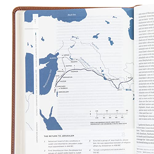 CSB He Reads Truth Bible, Saddle LeatherTouch, Black Letter, Wide Margins, Journaling Space, Study Tools, Reading Plans, Maps, Charts, Easy-to-Read Bible Serif Type
