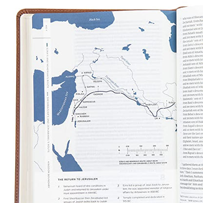 CSB He Reads Truth Bible, Saddle LeatherTouch, Black Letter, Wide Margins, Journaling Space, Study Tools, Reading Plans, Maps, Charts, Easy-to-Read Bible Serif Type