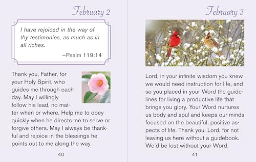 Year of Gratitude - Large Print (Daily Prayer Books) (Deluxe Prayer Book)