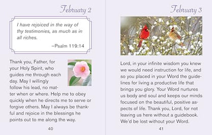 Year of Gratitude - Large Print (Daily Prayer Books) (Deluxe Prayer Book)