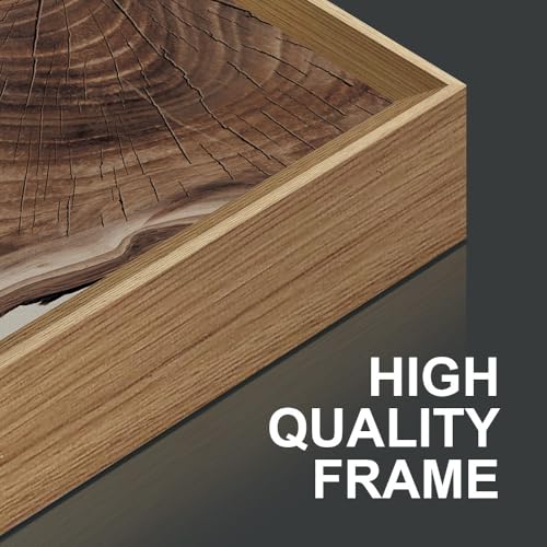 SIKERIC Framed Nature Tree Ring Wall Art, (40X20 inch) Modern Wood Stump Canvas Wall Art Set Of 1,Large Wood Tree Spiral Art Prints, Abstract Wall Painting for Living Room, Bedroom, Office - color: Nature Tree Ring, size: 39.4"L x 19.7"W