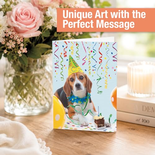 Current Happy Birthday Greeting Card Set - style: Animal