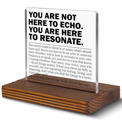 Inspirational Office Desk Sign for Coworker Employee Friend, You Are Here to Resonate Motivational Acrylic Plaque, Positive Mindset Decor Gift for Women Men EC421 - style: Coworker Employee Friend