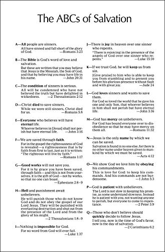 Holy Bible New Testament: Accurate. Readable. Clear.