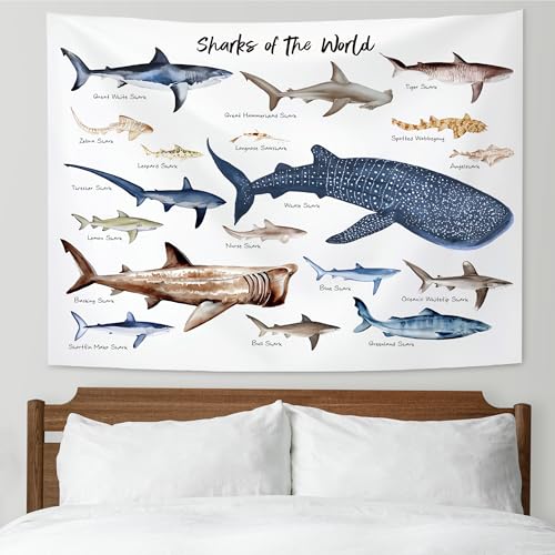KAIOUS Shark Wall Hanging Tapestry for Kids, 50x58 - color: Shark, size: 58"L x 50"W