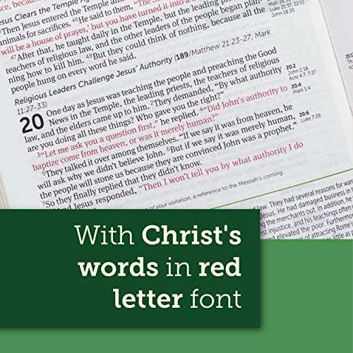 NLT Life Application Study Bible, Third Edition, Large Print (Genuine Leather, Black, Indexed, Red Letter)