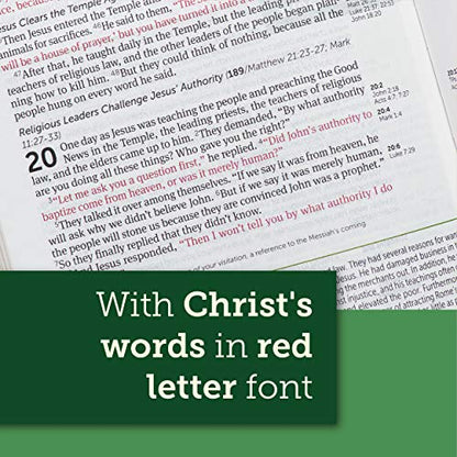 NLT Life Application Study Bible, Third Edition, Large Print (Genuine Leather, Black, Indexed, Red Letter)