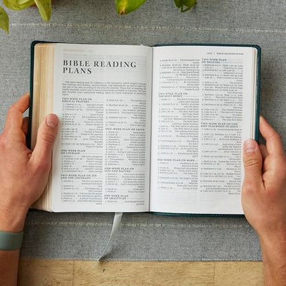 NRSV Catholic Edition Gift Bible, Teal Leathersoft (Comfort Print, Holy Bible, Complete Catholic Bible, NRSV CE): Holy Bible