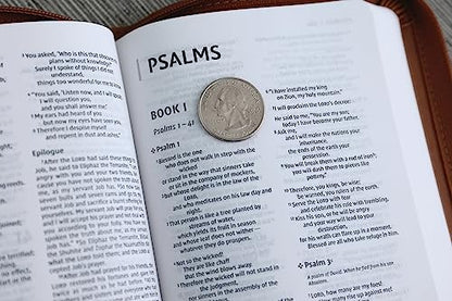 NIV, Thinline Bible, Compact, Leathersoft, Brown/White, Zippered, Red Letter, Comfort Print