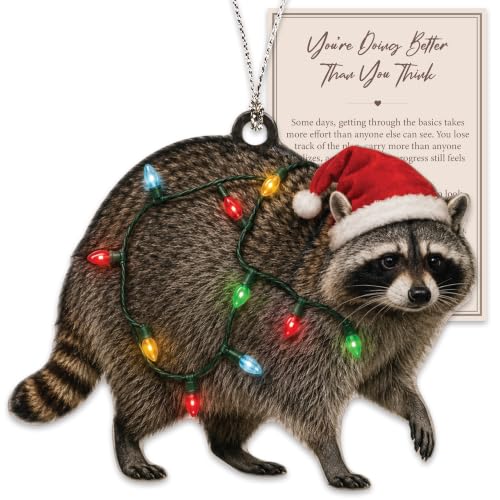 Funny Christmas Ornaments, Racoon Gifts for Women, Raccoon Ornament, Christmas Funny Gifts, Christmas Ornaments Christmas Decorations - color: Raccoon1