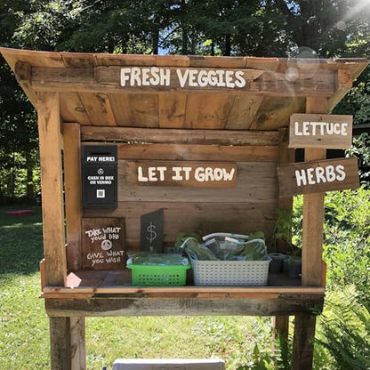 KYODOLED Metal Cash Box for Farm Stand, Money Drop Box with Lock & Slot - color: Black, size: 10.24 x 5.7 x 2.95 Inch