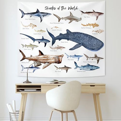 KAIOUS Shark Wall Hanging Tapestry for Kids, 50x58 - color: Shark, size: 58"L x 50"W