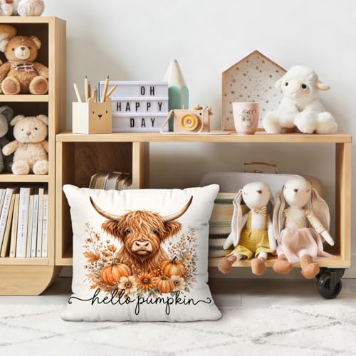Hello Pumpkin Fall Highland Cow Floral Throw Pillow Covers 18x18 - color: Cow